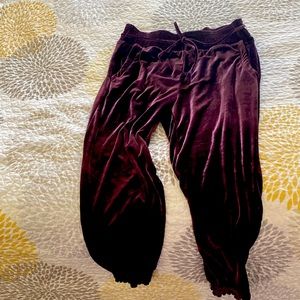 NWOT purple velvet joggers with pockets